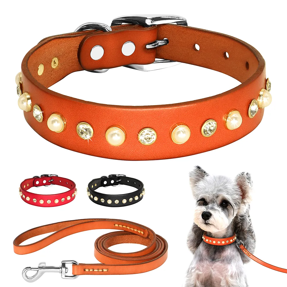 Diamond Puppy Collar, Dog Collars Chihuahua: Genuine Leather Pet