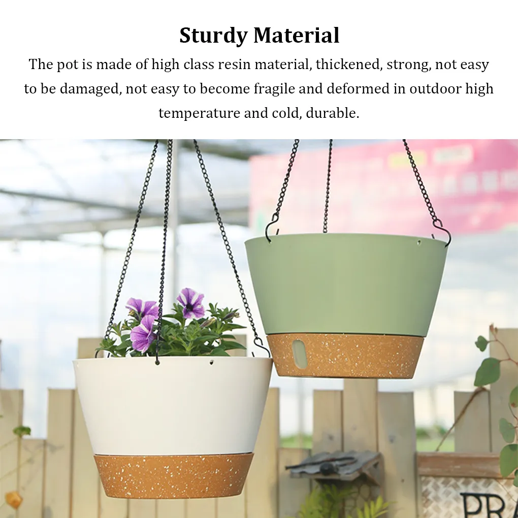 indoor plants umbrella tree Australian Umbrella Tree – Hey Rooted main image 0
