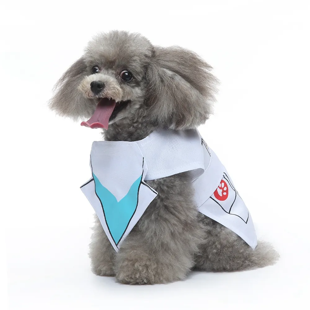 Costume De Nonne Pour Chien Ou Chat - Déguisement Halloween Cosplay Drôle, Cape Pullover, Pour Petites Et Moyennes Tailles