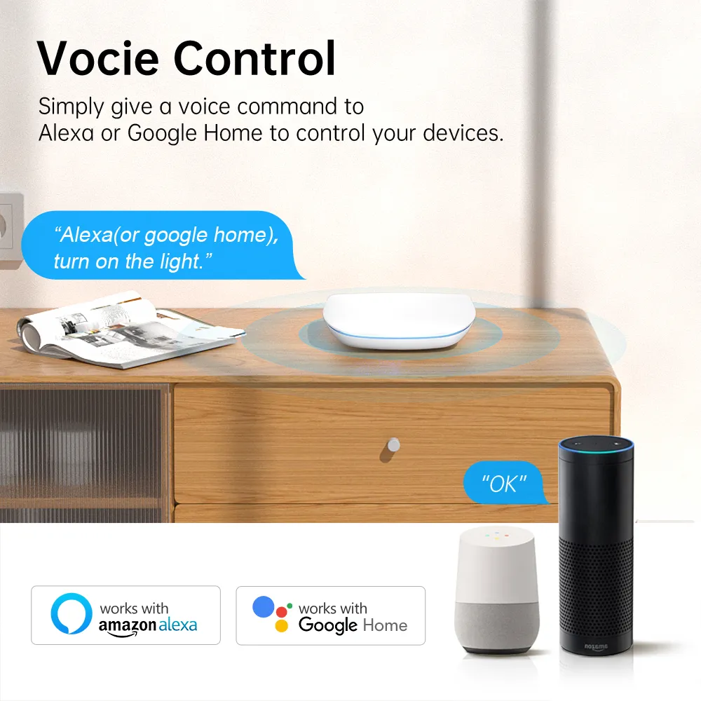 Google Home Installing Alexa In Your Home Zigbee Hub Matter Hub