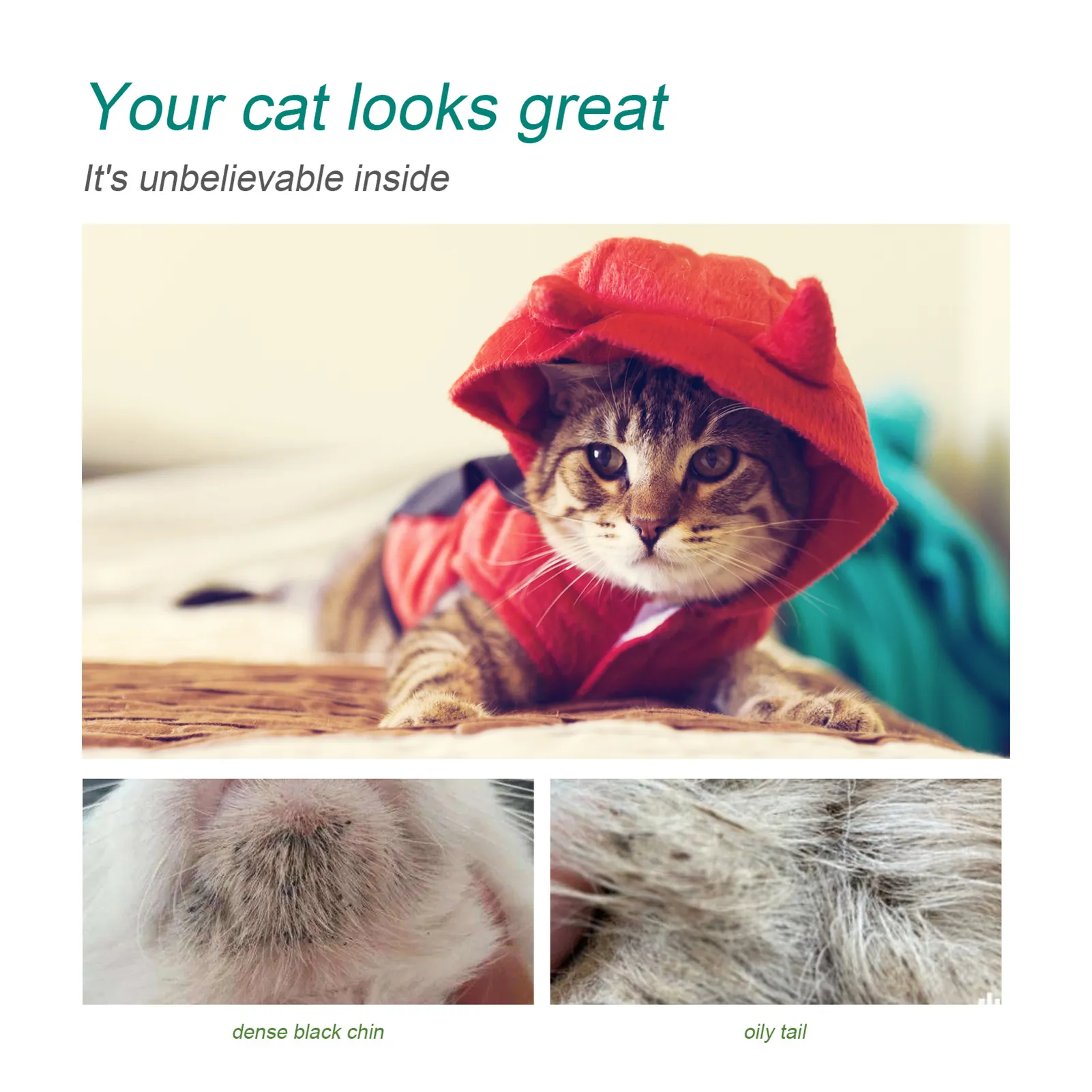 Wholesale 2 Pack Disposable Cat Cleaning Near Me Gloves Non Woven Fabric Stain Remover Ideal For Dogs And Cats Perfect For Grooming And Washing From Factory Quanyuanfacai 11.05 DHgate.Com