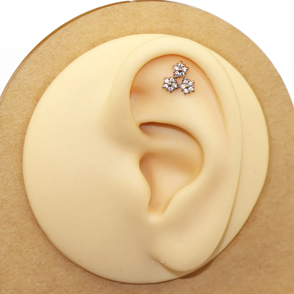ORAZIO 17Pcs Cartilage Earrings For Women Surgical Steel Tragus Helix Daith Rook Conch Piercing Jewelry 16G Earrings Price In UAE | Amazon UAE