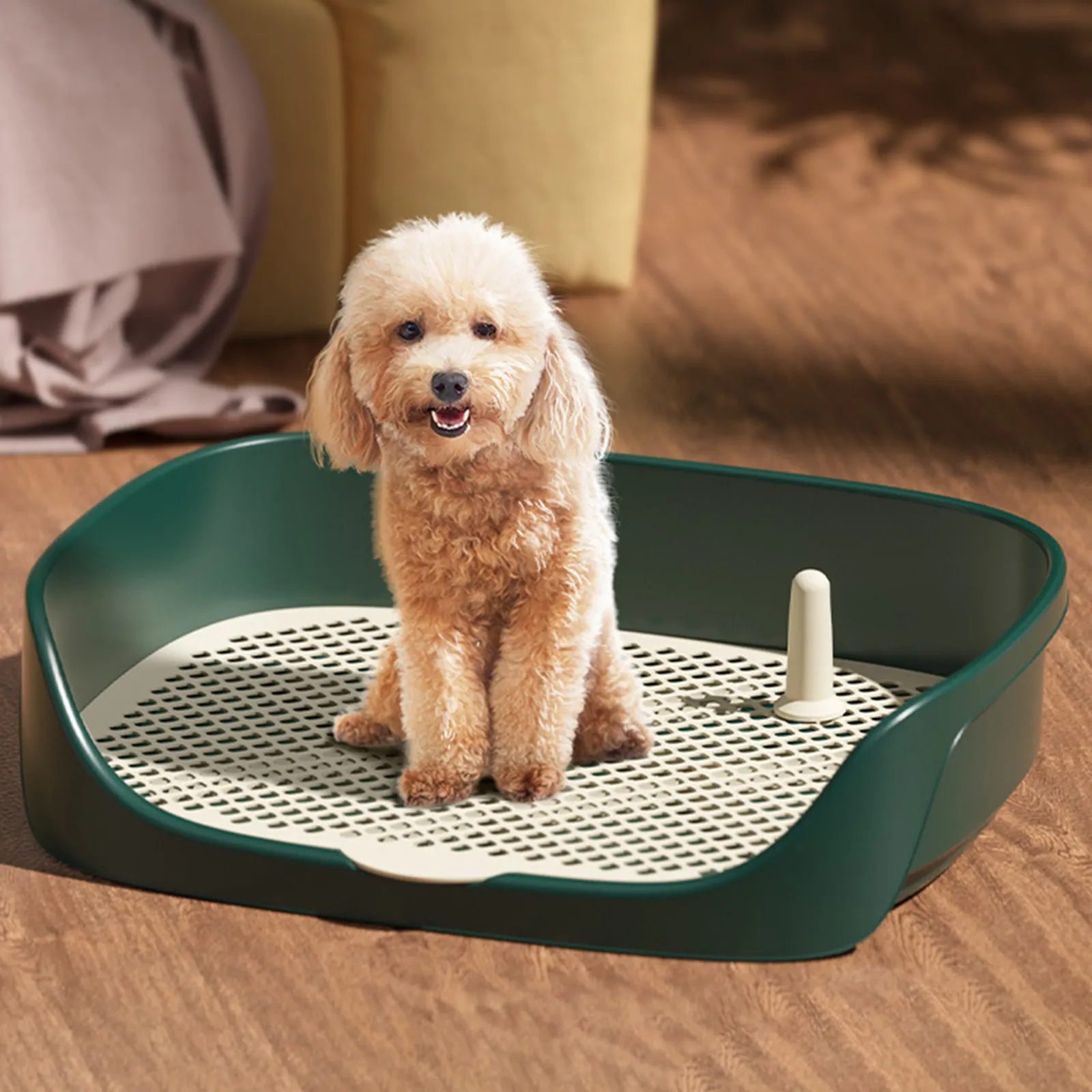 Pet loo portable pet potty 2025