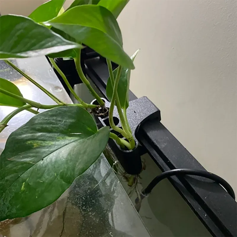 Aquarium Plant Holder Hanging Aquatic Plant Pot With... From Petchains,  $13.83 | DHgate.Com