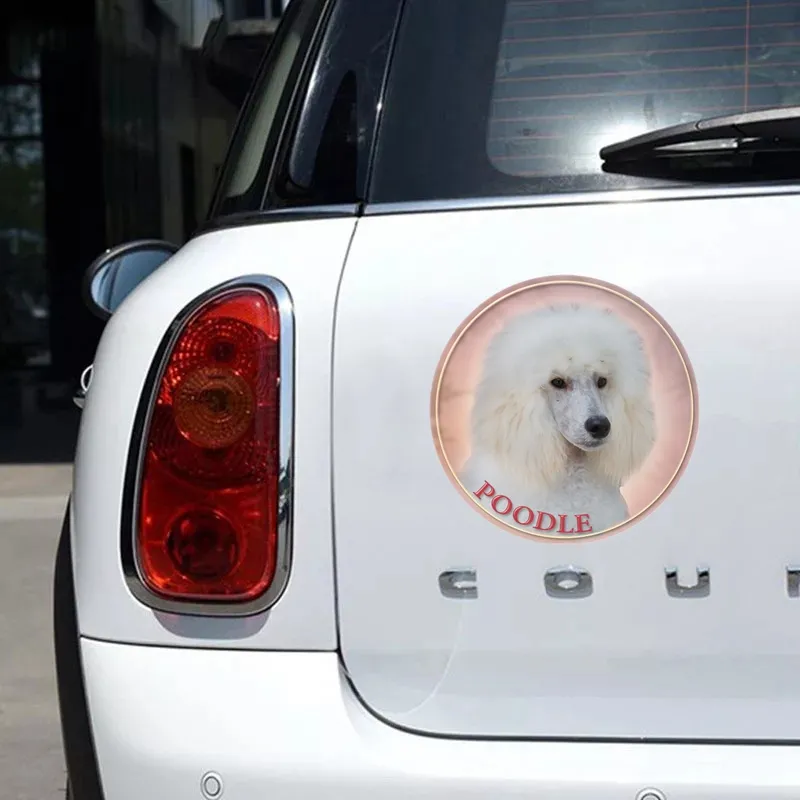S40339# Various Sizes PVC Decal Poodle Dog Car... From Ddmyaug, $10.84 ...