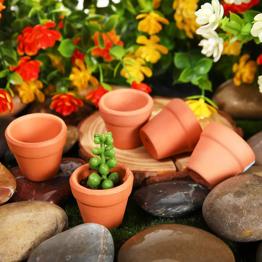 Small Terracotta Pots Mini Clay Flower Pots with Drainage Holes for Cactus  Nursery Succulent Planter from Dhgate Other Pools & SpasHG - price 71.76
