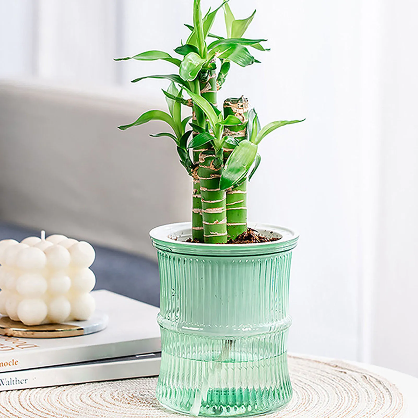 Save Big on Bulk Large Self Watering Pots Large Self Watering Planters For  Indoor Plants, Ceramic Indoor Flower Pots, Large Flower Pots For Indoors ..., image size:1601x1601