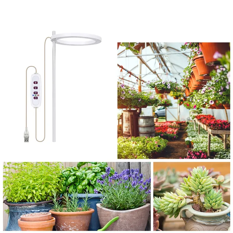 glass plant pot Mini Hydroponic Flower Pot: Transparent Glass Soilless Plant Pot for Home  Decoration