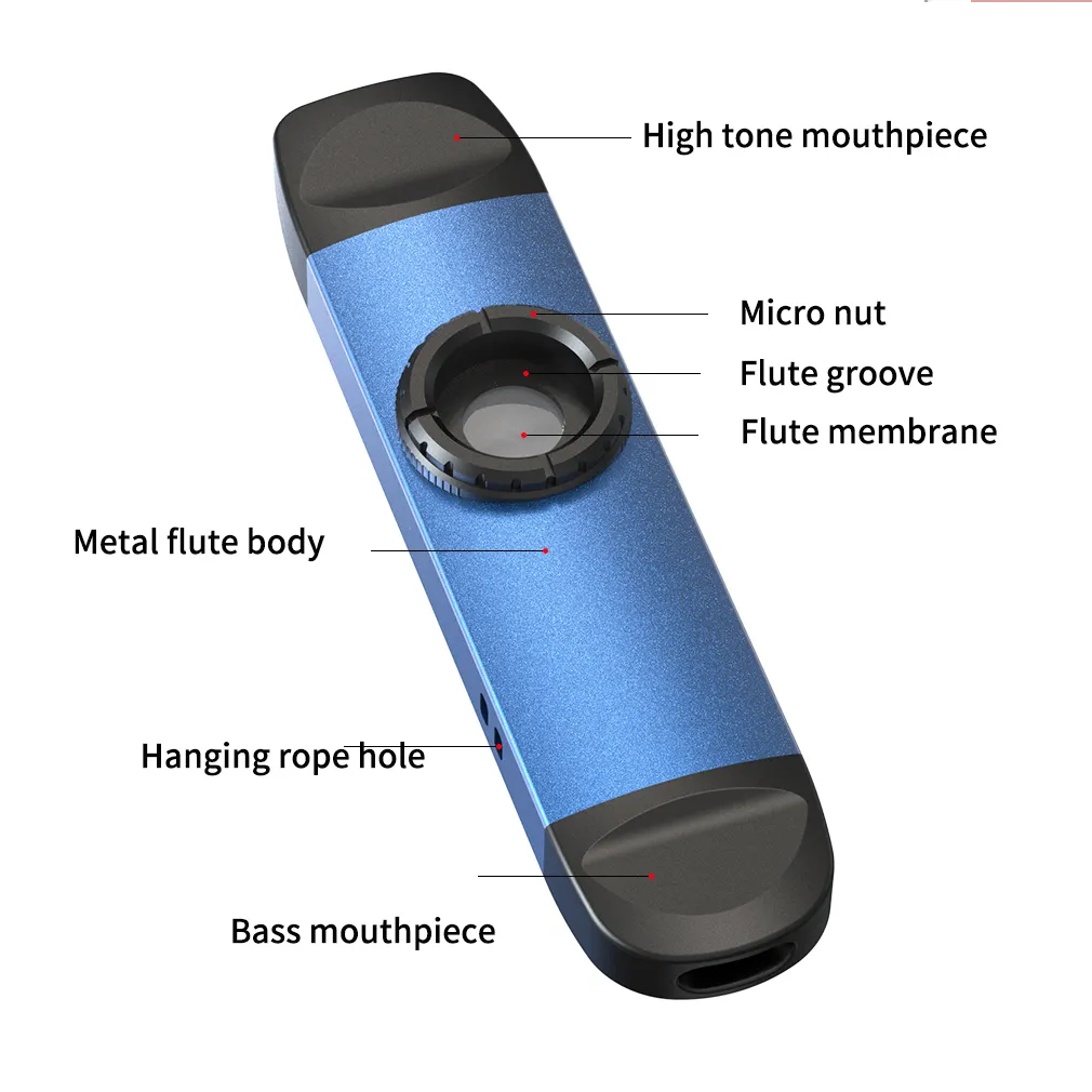 Kazoo　559 Amazon.com: Grover FN120 First Note Kazoo Plastic : Musical