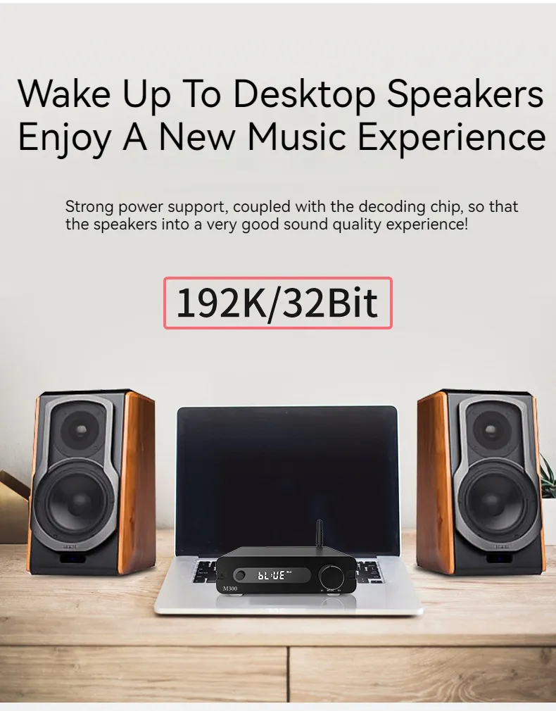 Fiio Audiophile Computer Speakers Computer Speakers High End Music