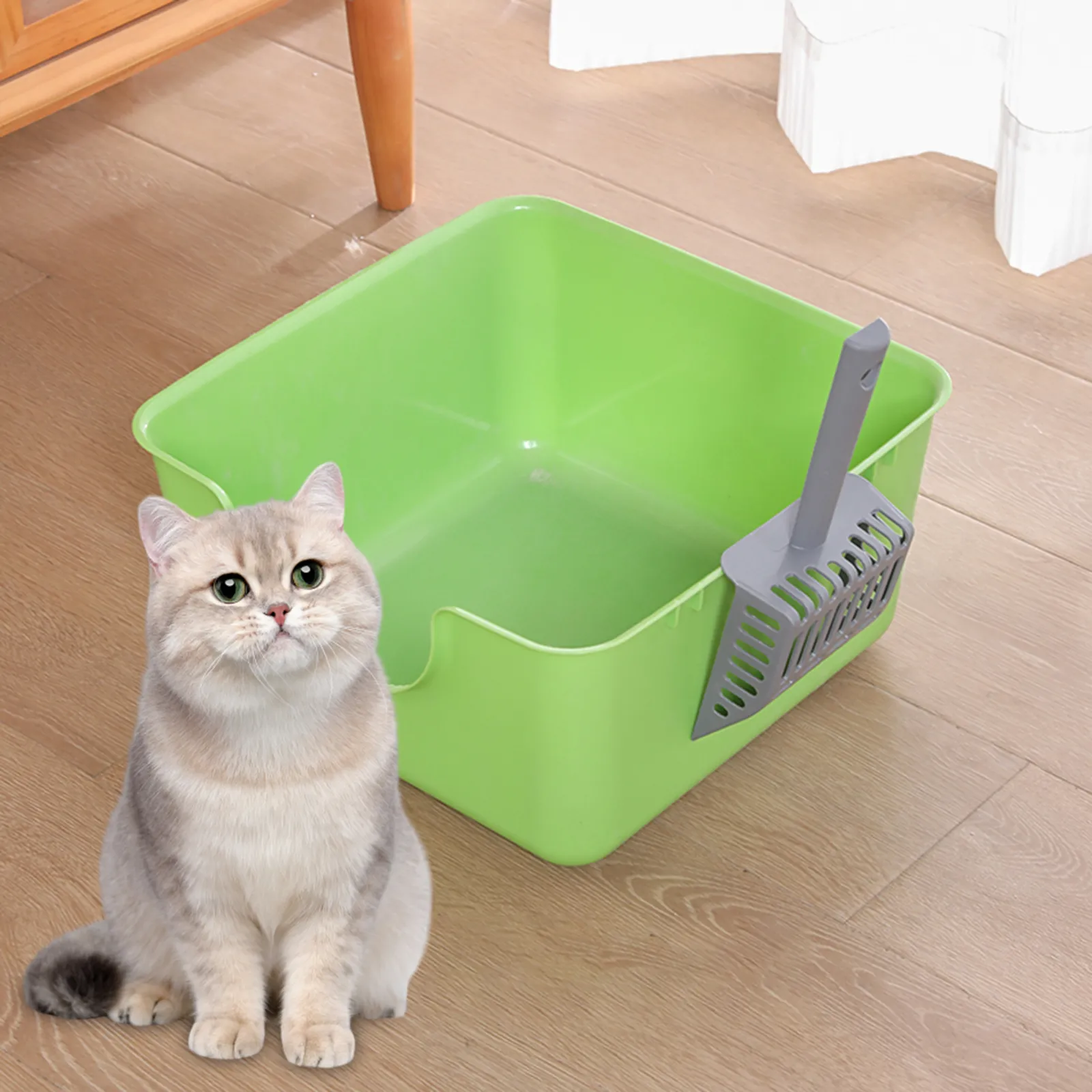 luup cat litter box