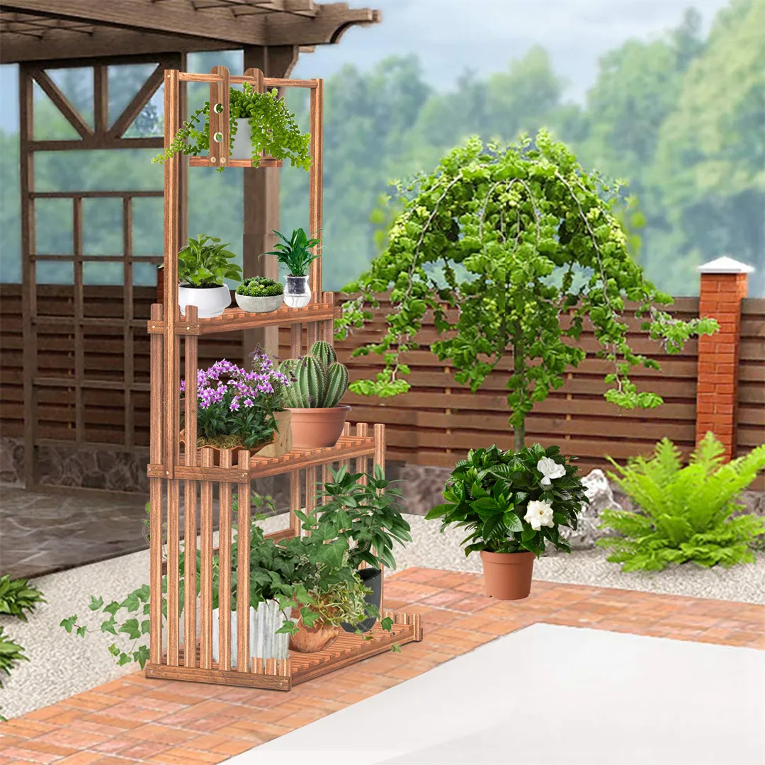 where can i purchase a money tree 3-5 FT Money Tree- NYC, NJ, CT, Boston, Providence, Washington DC,  Baltimore, Philadelphia, Princeton, Long Island, and Upstate NY Local Plant  Delivery – Dahing Plants main image 1