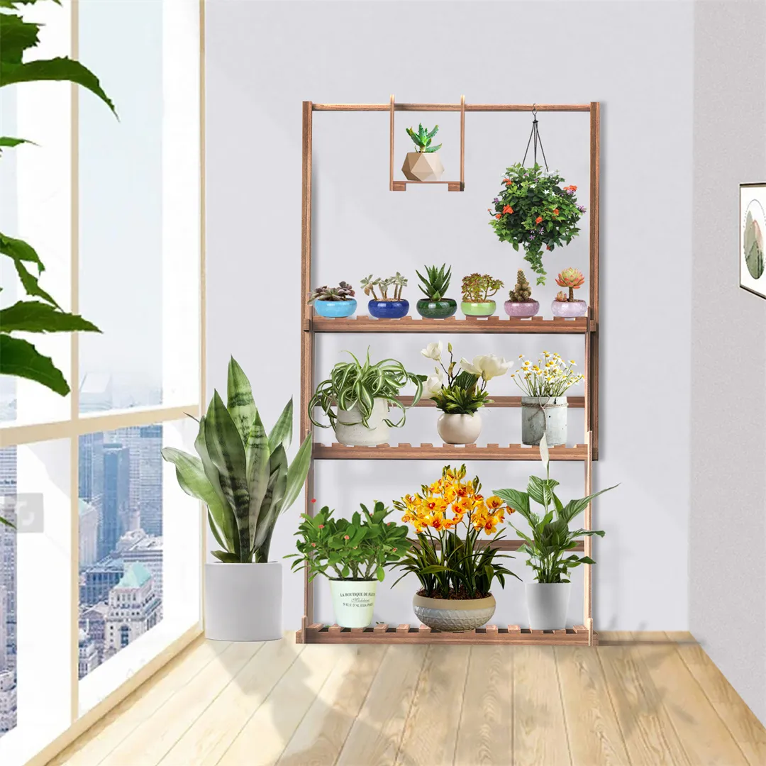 purchase lavender plants English Lavender