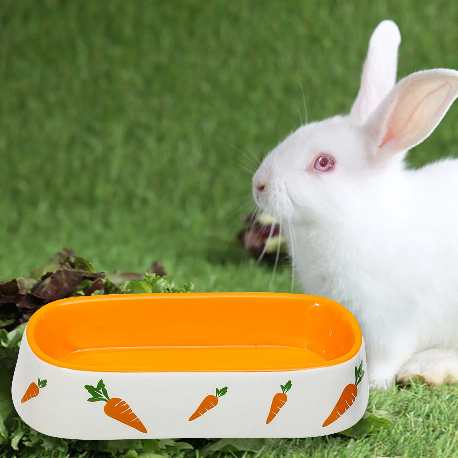 Small Rabbit Feeding Bowls JanYoo Rabbit Feeder Bunny Water Bowl