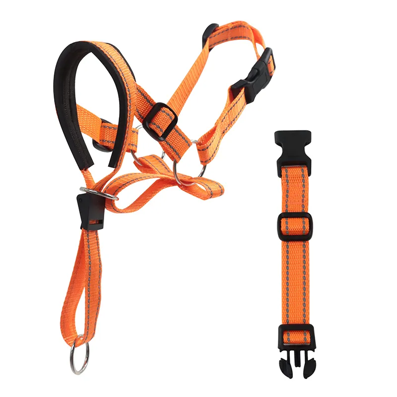 Adjustable Mesh Muzzle Leads For Small And Large Dogs Easy To Fit Training Rope Guide For Easy Dog Handling And Comfortable Fit Ideal Halter Leash For Dogs From Quanyuanfacai 15.07 DHgate.Com