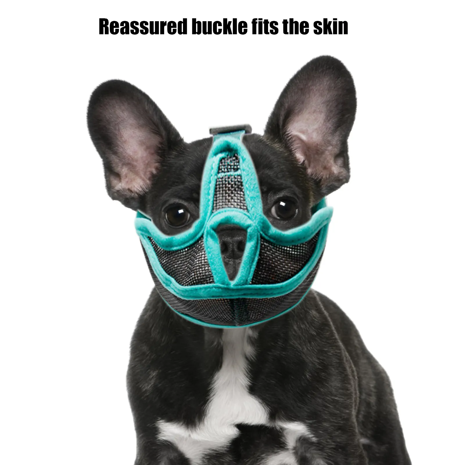 Muzzles for short snouted dogs hotsell