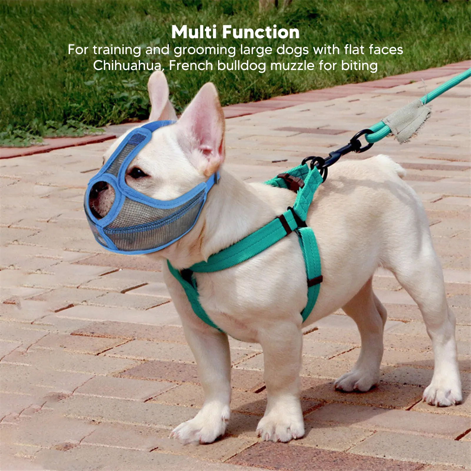 Muzzle for a french bulldog sale