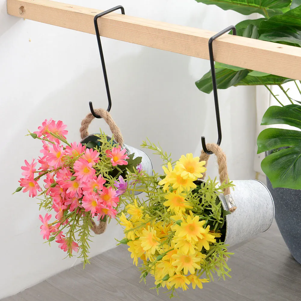 money tree for sale near me Money Tree for Sale