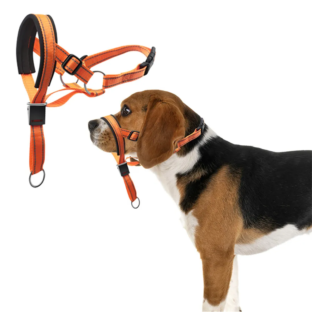 Muzzle bark control sale