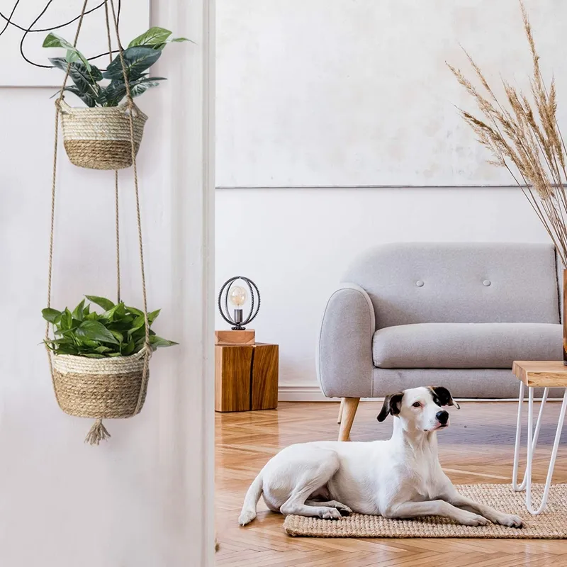 Indoor Hanging Baskets for Plants, Outdoor Hanging Planter - Decorative  Hanging Planters for Lightweight Plant Display, Versatile Hanging Pots for  ...