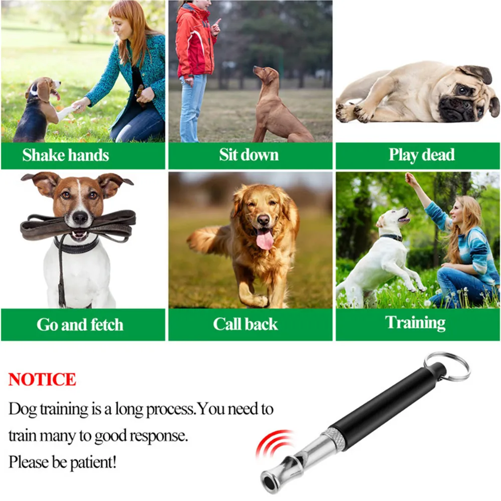 Dog Training What Causes A Dog To Shake 3+ Thousand Dog Shaking
