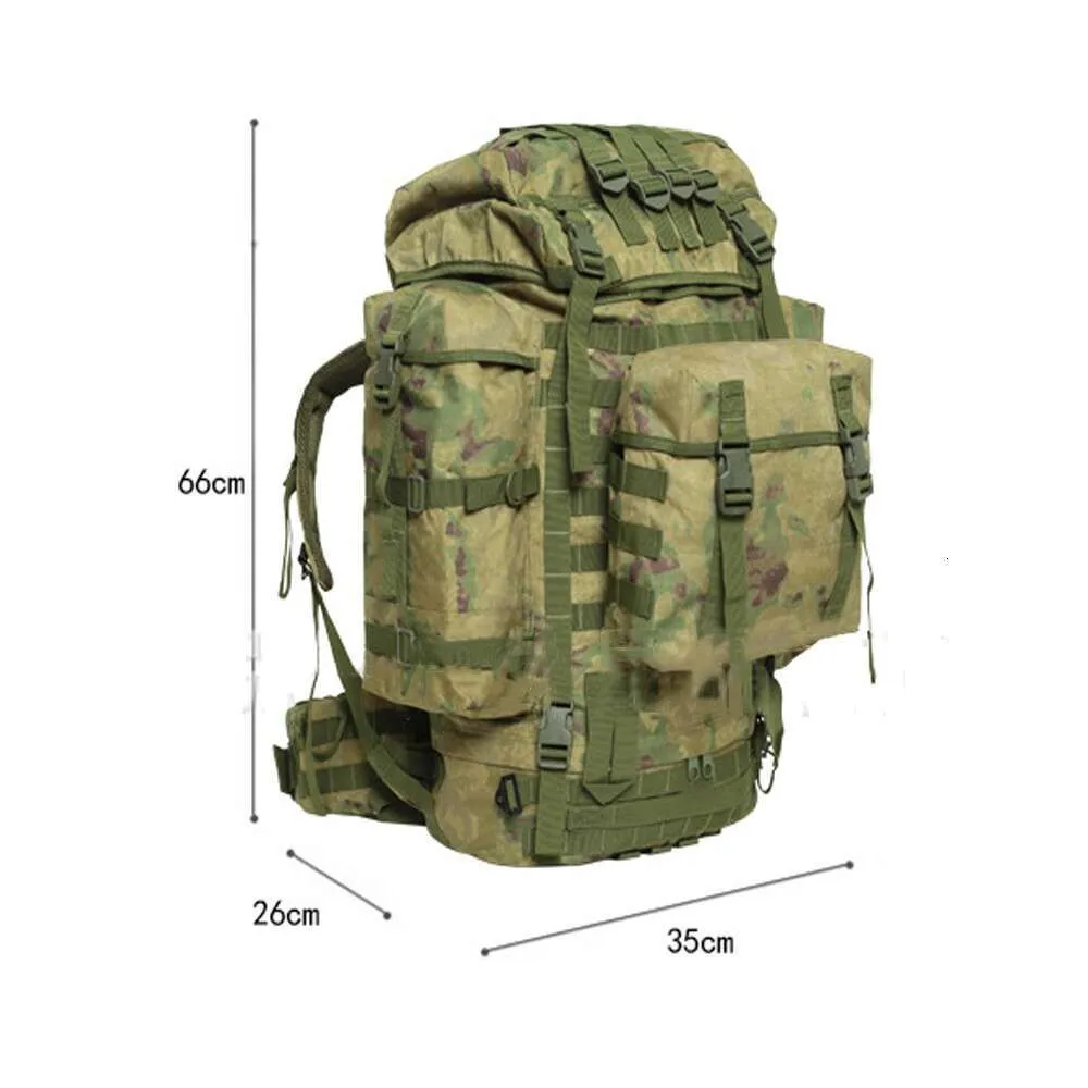 120L Tactical Molle II Backpack - OCP Camouflage - Hiking, Camping, Trekking  from Dhgate Backpack - price 121.84