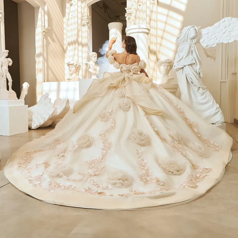 Beige Quinceanera Dress Ball Gown Off The Shoulder 3D Floral Applique  Beaded Tulle Corset Sweet 16 Dress from Dhgate Quinceanera Dresses - price  319.0
