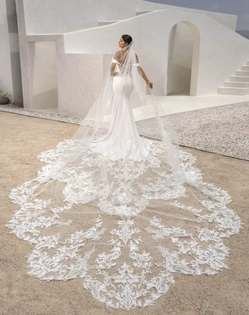 Elegant Cathedral Length Veil With Delicate Appliqued Edges  display picture 3
