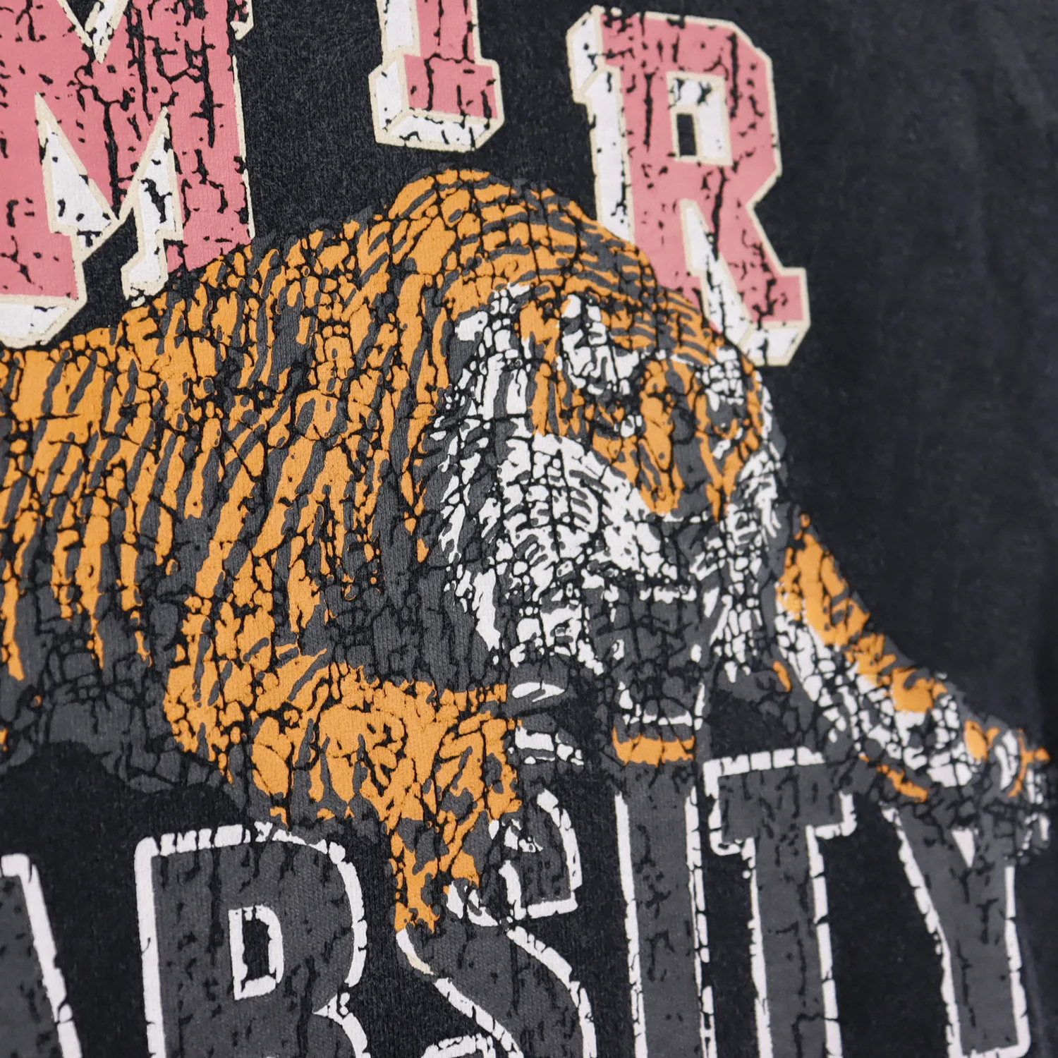 Mens Hoodies Designer Tiger Print Graphic Sweatshirt Unisex