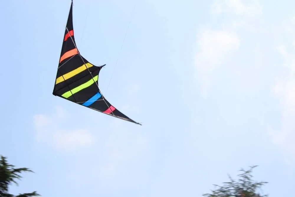 48 Stunt Kite - Easy to Fly Dual Line Sport Kite with Handle & String ...