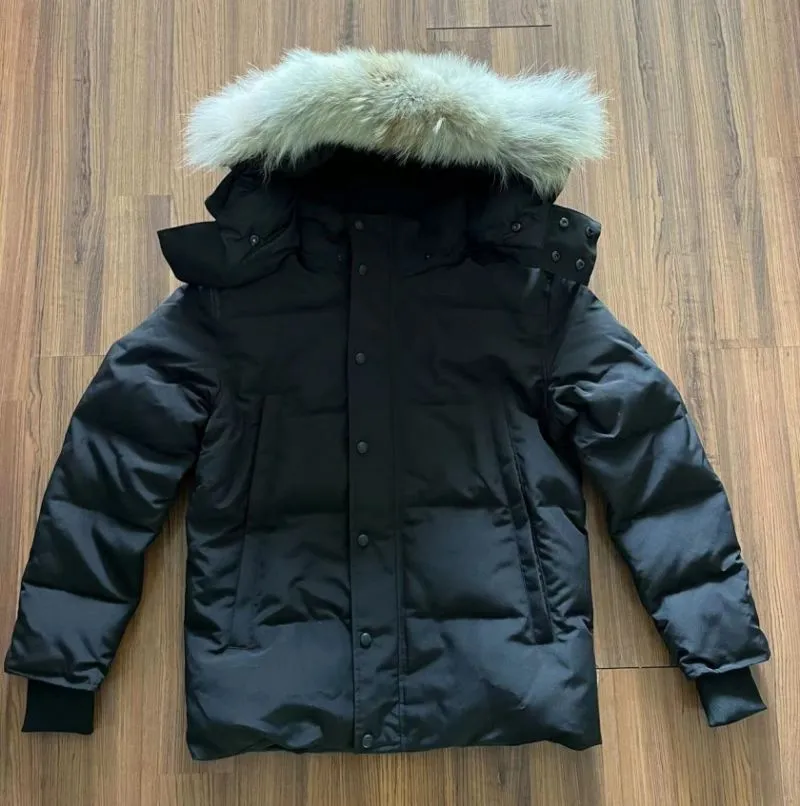Mens Winter Down Jacket With Real Coyote Fur Designer Homme