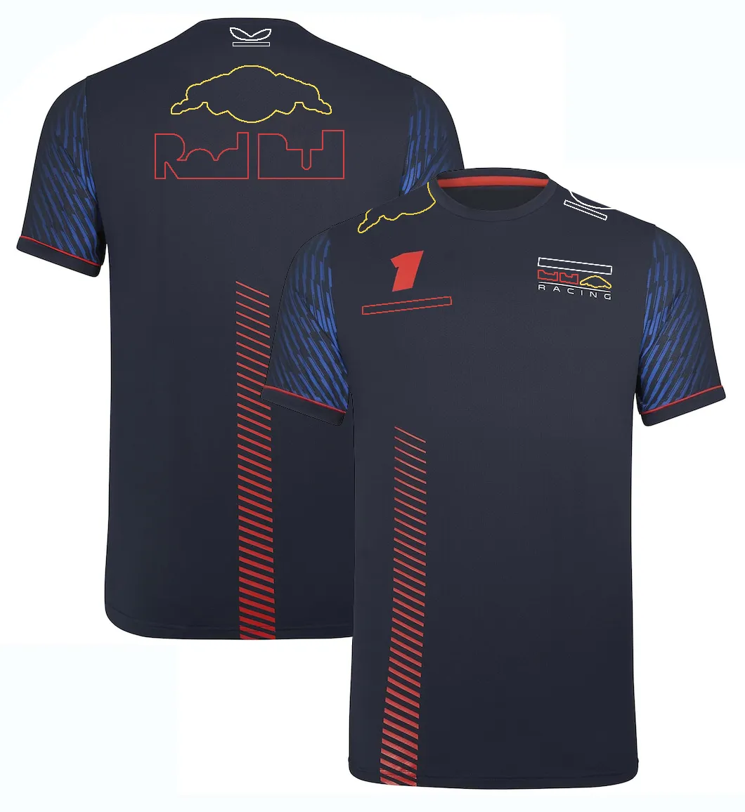 2023 Aston Martin F1 Hombres Camiseta Fernando Alonso Fórmula 1 Equipo  Diseño De Carreras Cuello Redondo Camisetas Ropa De Alta Calidad De 11,57 €