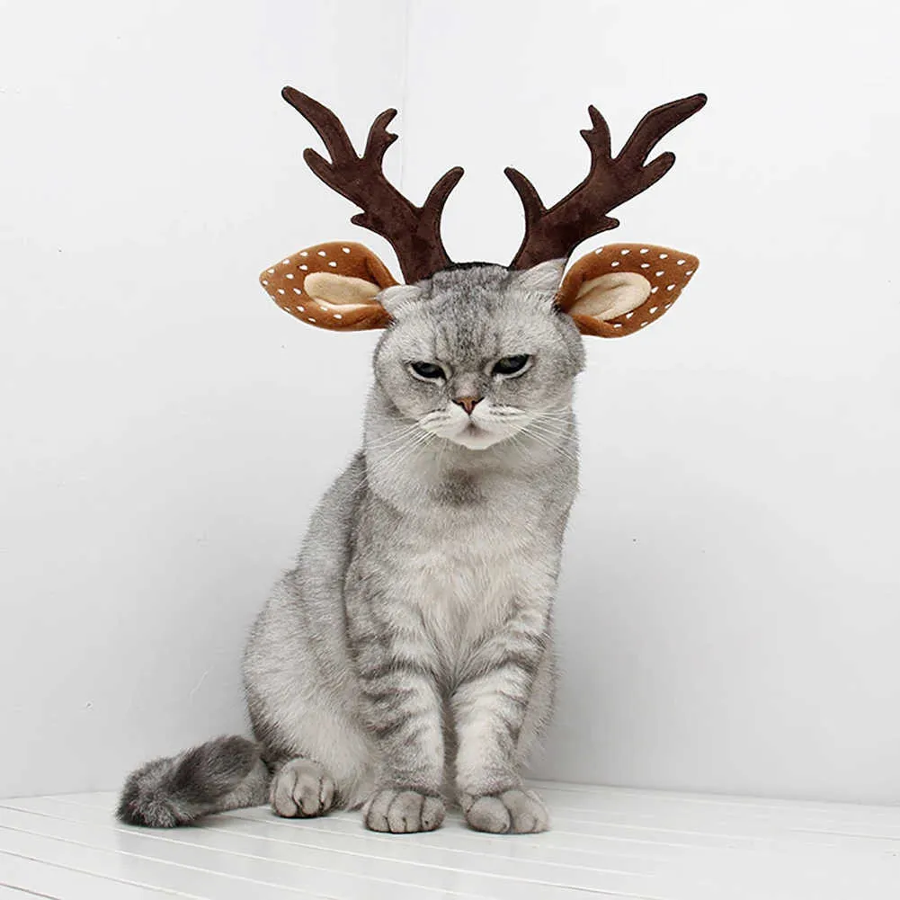 Pet reindeer antlers deals
