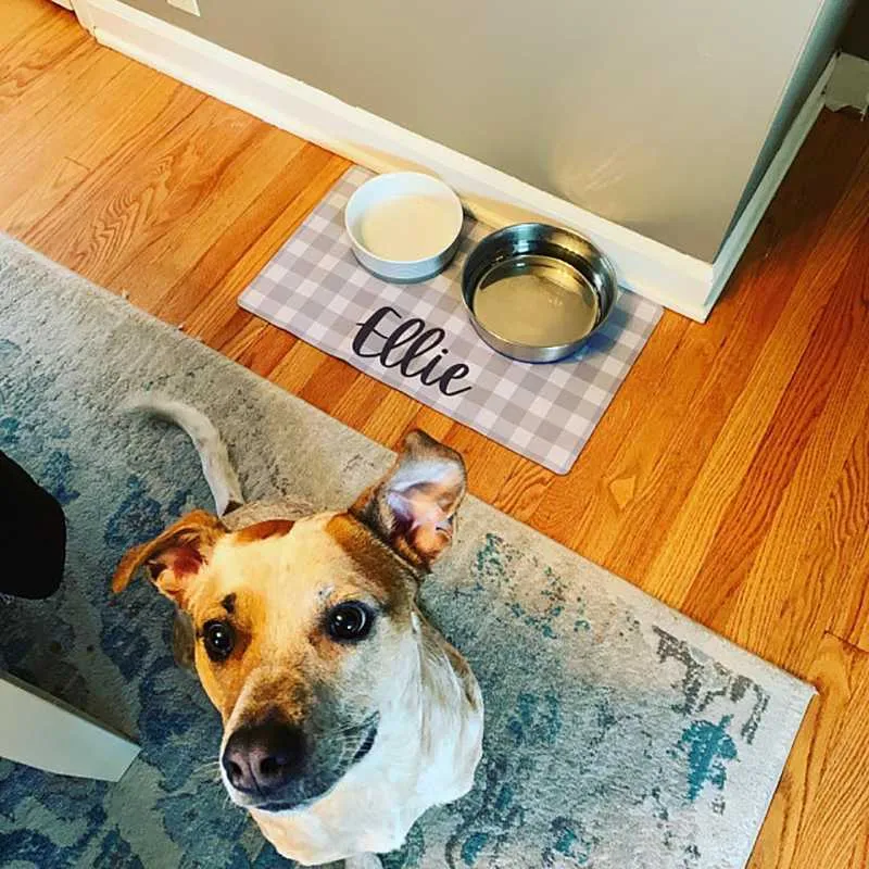 Petfusion waterproof pet food mat new arrivals