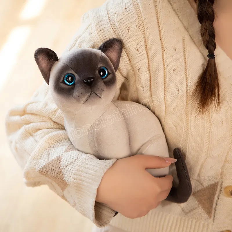 Chat en peluche comme un vrai best sale