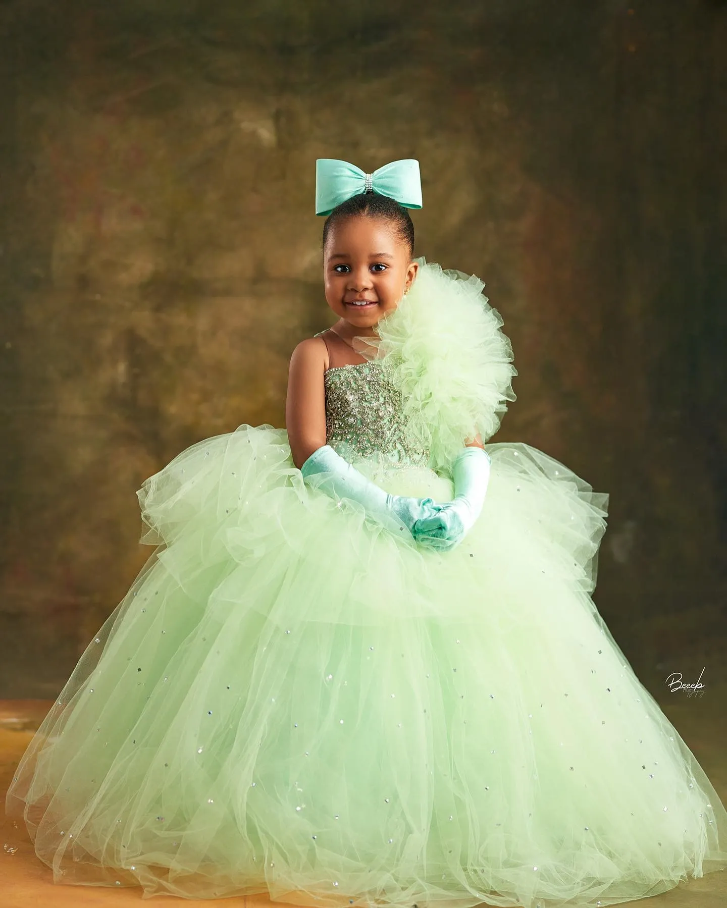 Ball gown dresses for little girl discount