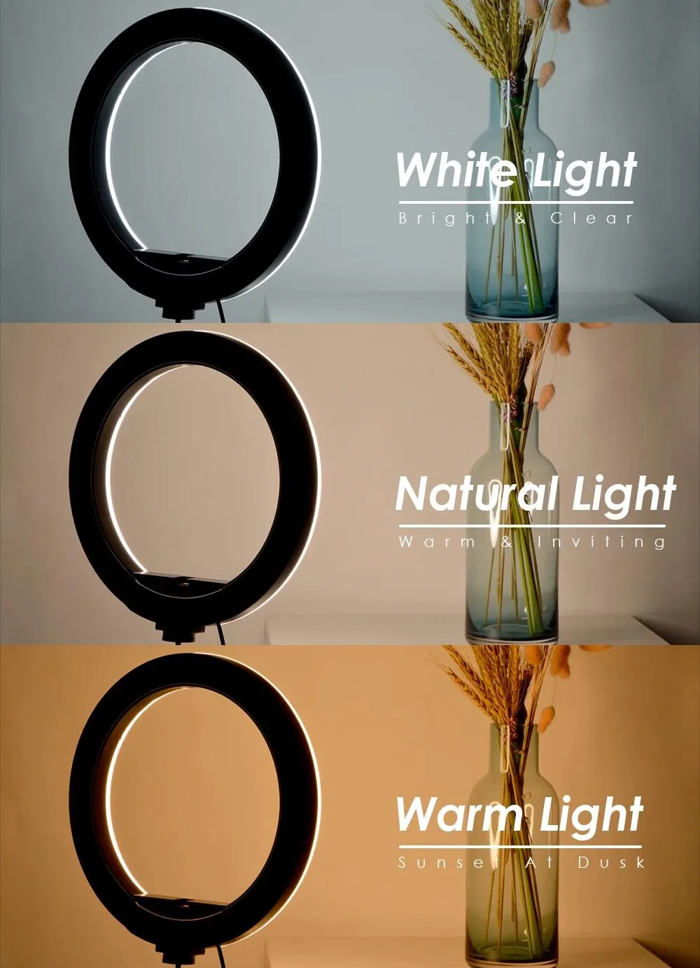 Brilliant Ideas 8 Inch Studio Ring Light With Desk Tripod – Metamersh