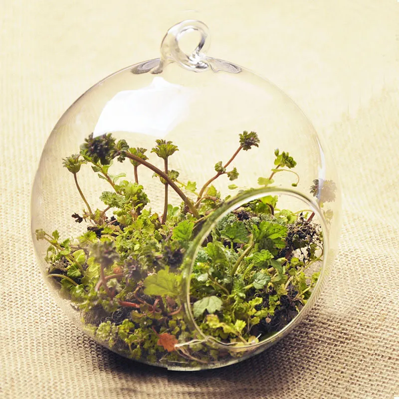 Hanging Glass Planter Oblate Flower Vase Terrarium, Glass Globe Air Plant  Pot Holder for Home Christmas Decoration Gift Idea, Terrarium Decor