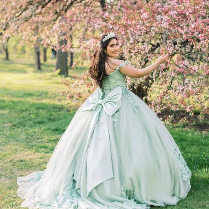 slim fit dress slacks Princess Plunging Sleeveless Floor-Length Pleated Mint Tulle Prom Dress, Lace