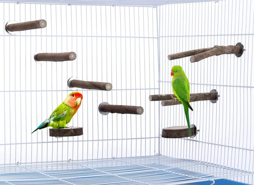 Curated visual reference: Natural Wood Bird Perches 4 Pack Multi Branch Hanging Wooden Photo Inspiration