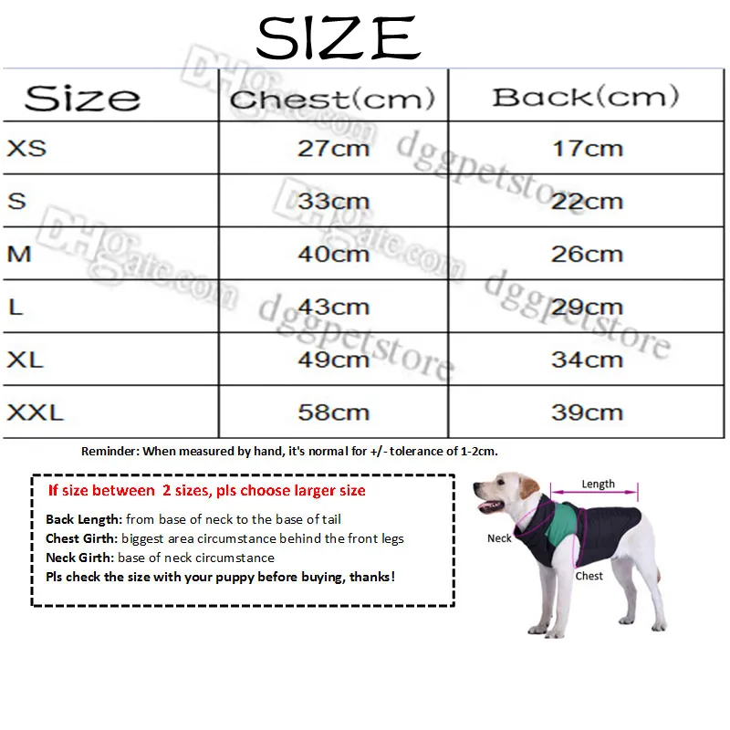 【ASH Generation】 puppy 49cm 2026 Wall Calendar - 16 x 49 cm