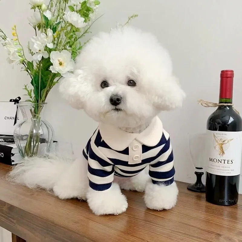 Striped Dog Sweater For Summer Bichon Frise Chihuahua Shirt