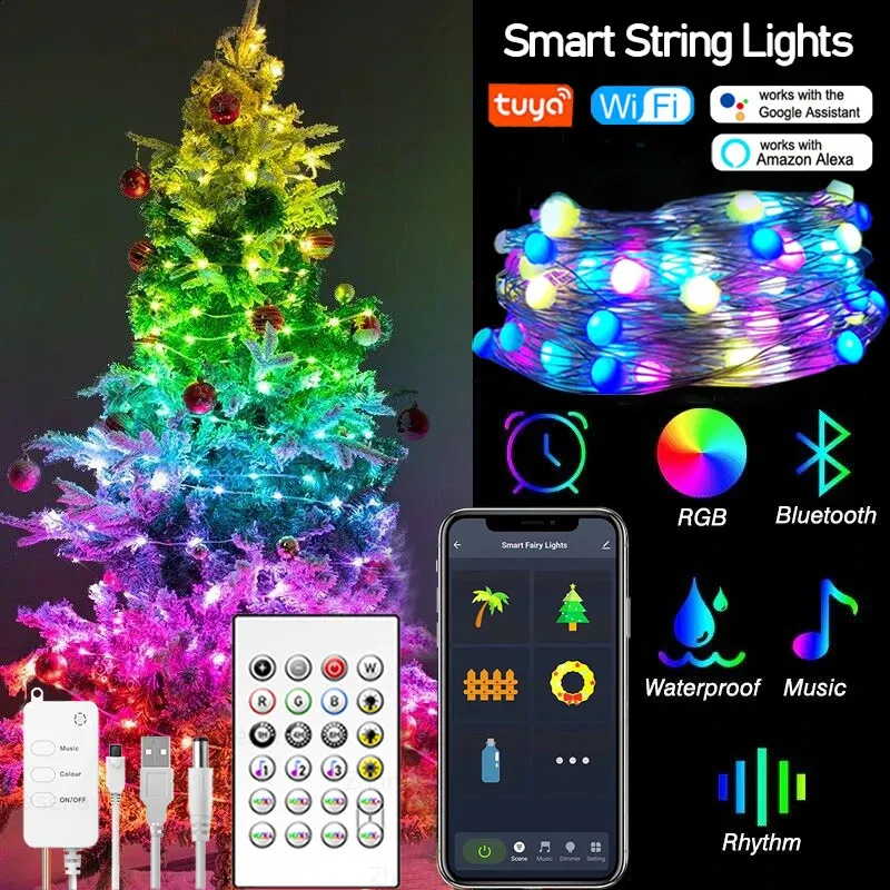 Tuya Smart WiFi LED Fairy String Light RGB Dancing with Music Sync ...