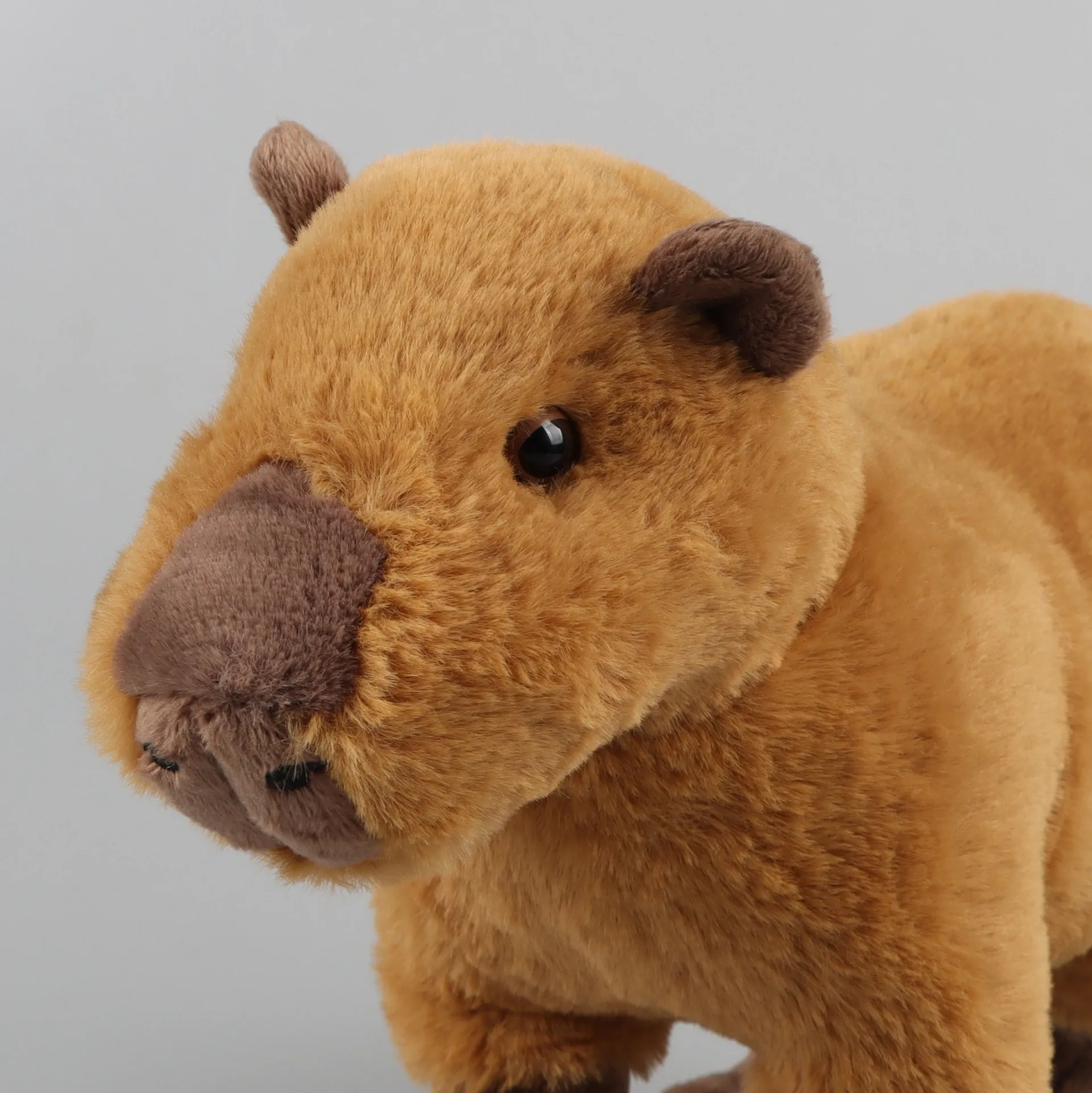 30x20cm Simulation Capybara Peluche Kawaii Capybara Poupée En