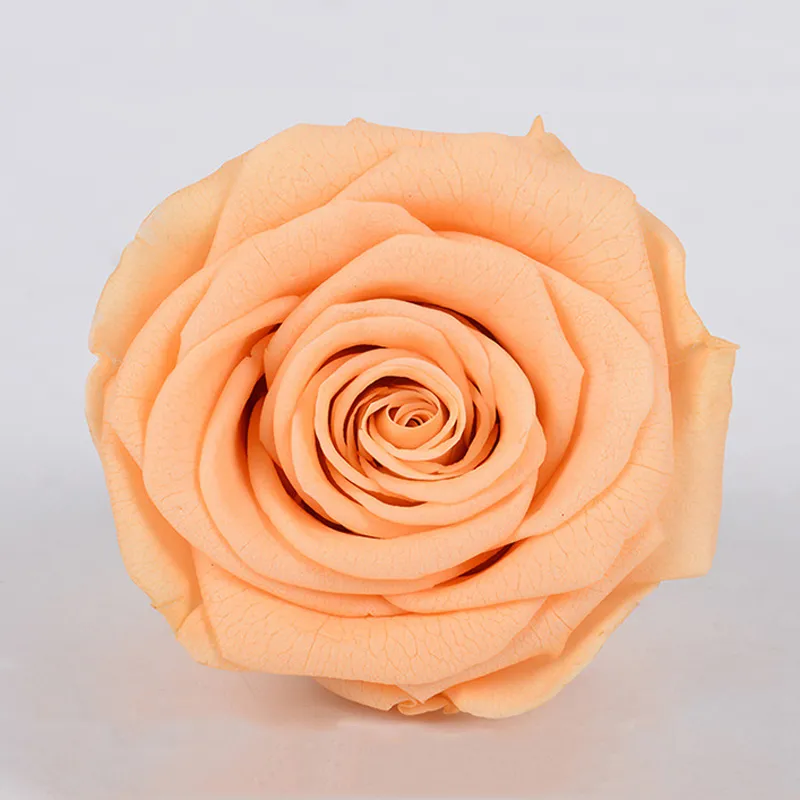 Immortalities Roses Preserved Immortal Roses Eternal Valentines... From Homedepot3, $14.85 ...