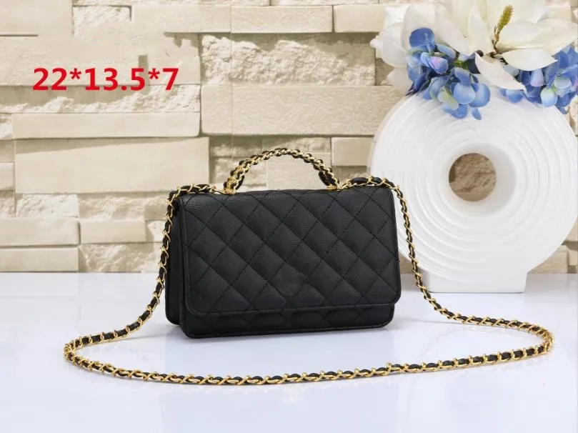 2024 Designer Shoulder Bag Small Chain Hobo Purse Luxury Handbag for Women Crossbody Tote