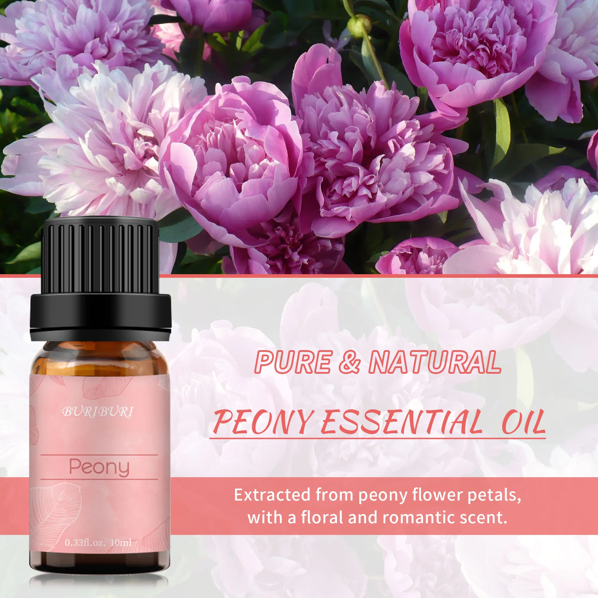 AKARZ Famous brand natural aromatherapy Peony essential oil