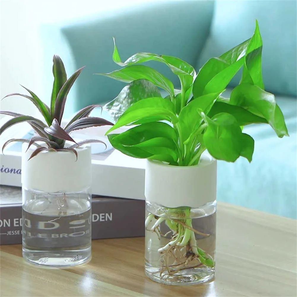 Transparent Flower Pots: Plastic Hydroponic Planters... From Mengyang09,  $20.78 | DHgate.Com