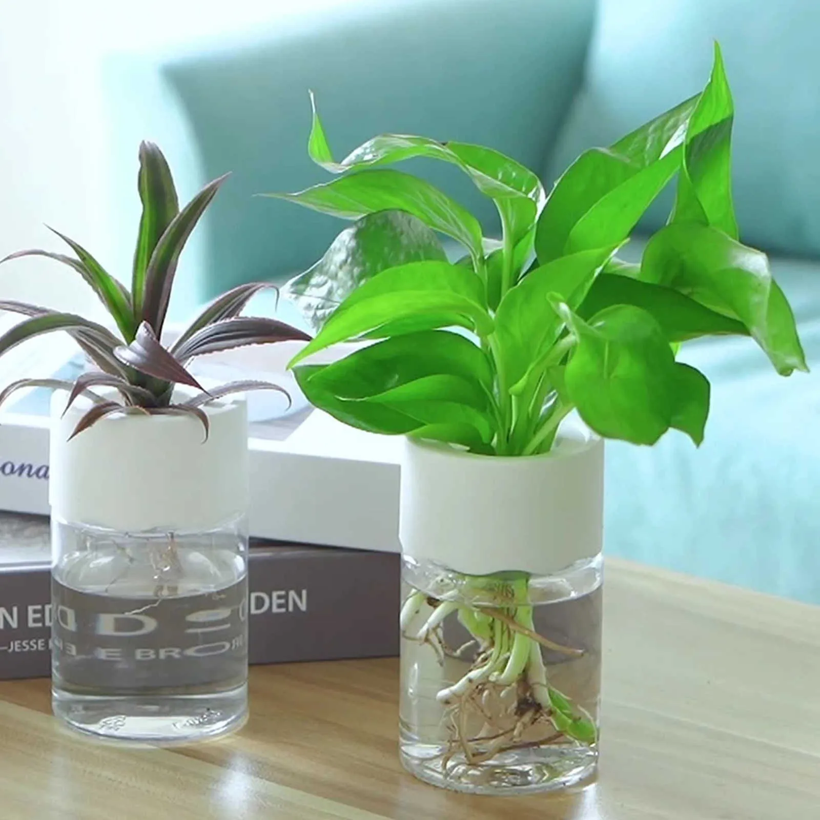 Planters Pots Transparent Round Hydroponic Flower Pot... From ...