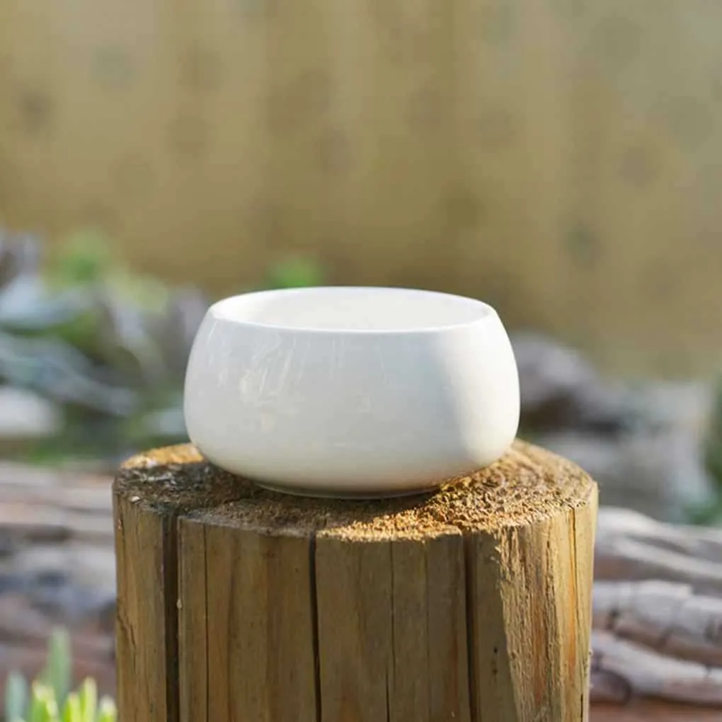 Small Round White Ceramic Succulent Ladder Planter With Bamboo Tray For ...